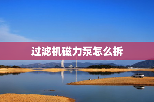 过滤机磁力泵怎么拆
