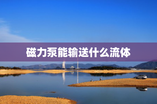 磁力泵能输送什么流体