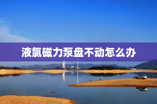液氯磁力泵盘不动怎么办