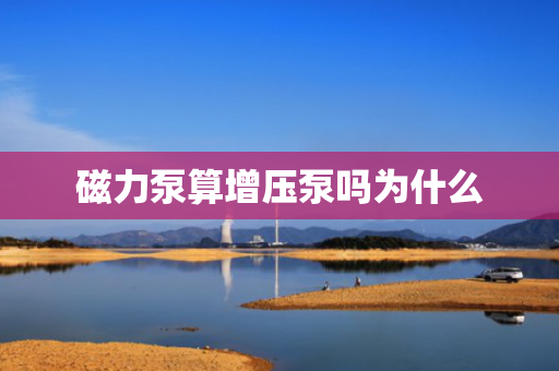磁力泵算增压泵吗为什么