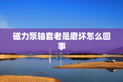 磁力泵轴套老是磨坏怎么回事