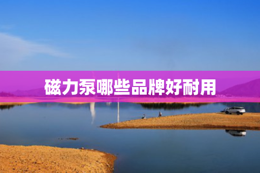 磁力泵哪些品牌好耐用