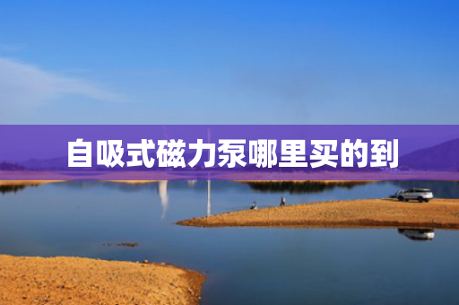 自吸式磁力泵哪里买的到