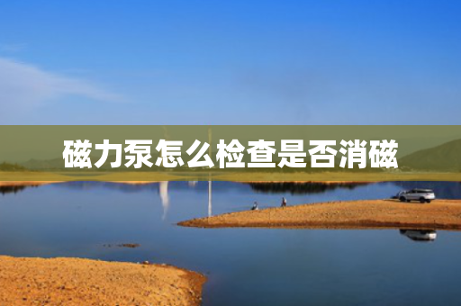 磁力泵怎么检查是否消磁