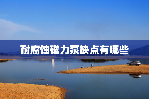 耐腐蚀磁力泵缺点有哪些