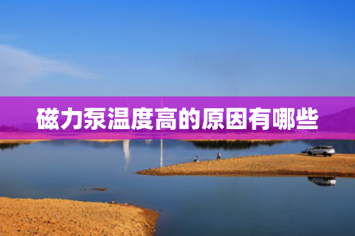 磁力泵温度高的原因有哪些