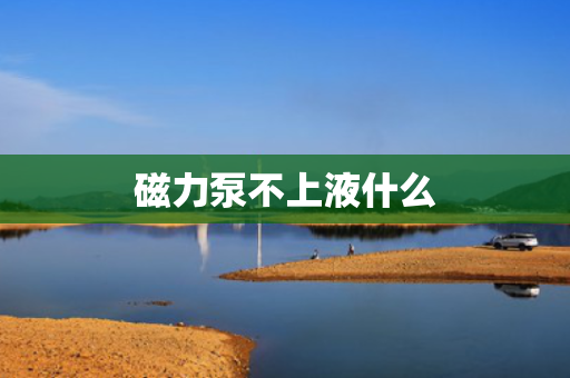磁力泵不上液什么