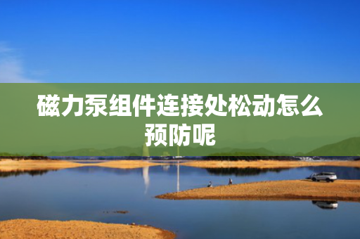 磁力泵组件连接处松动怎么预防呢