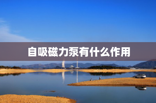 自吸磁力泵有什么作用