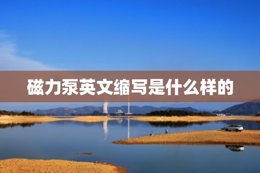 磁力泵英文缩写是什么样的
