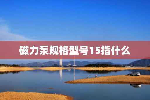 磁力泵规格型号15指什么