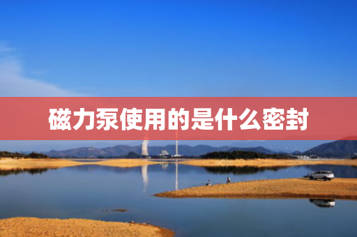 磁力泵使用的是什么密封