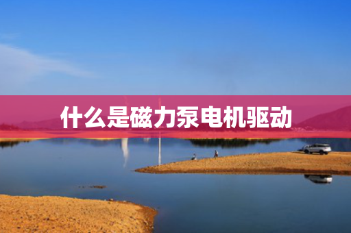 什么是磁力泵电机驱动