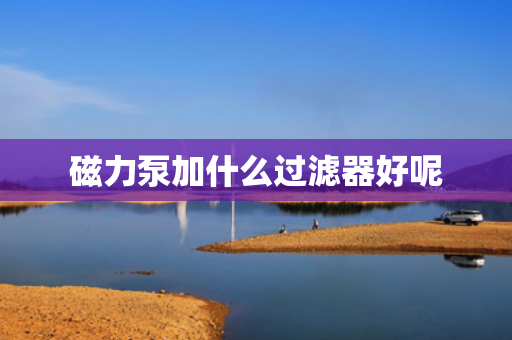 磁力泵加什么过滤器好呢