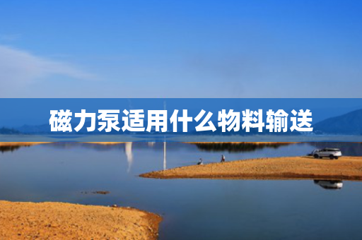 磁力泵适用什么物料输送