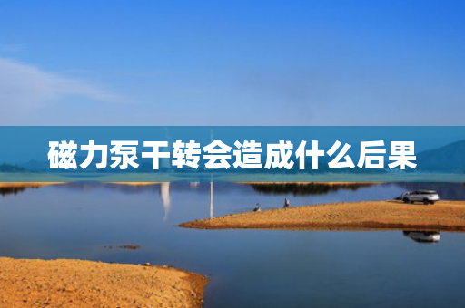 磁力泵干转会造成什么后果