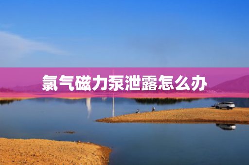 氯气磁力泵泄露怎么办