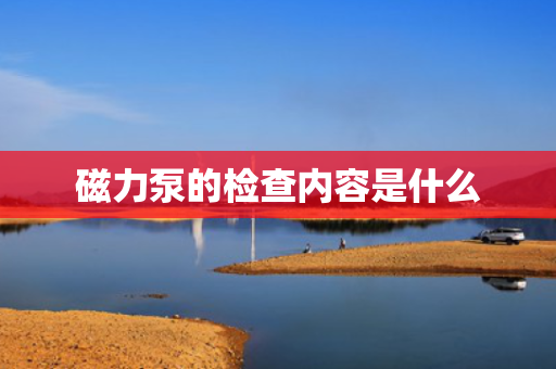 磁力泵的检查内容是什么