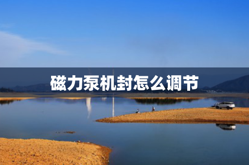 磁力泵机封怎么调节