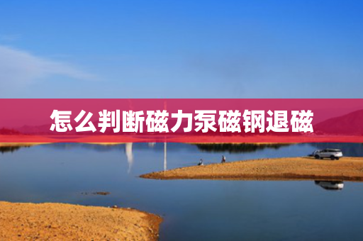 怎么判断磁力泵磁钢退磁