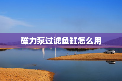 磁力泵过滤鱼缸怎么用