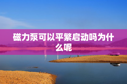 磁力泵可以平繁启动吗为什么呢