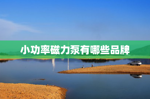 小功率磁力泵有哪些品牌