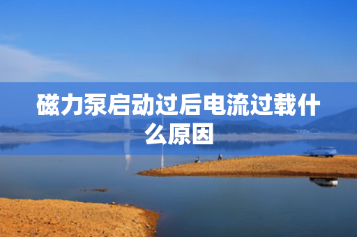 磁力泵启动过后电流过载什么原因