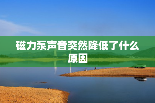 磁力泵声音突然降低了什么原因
