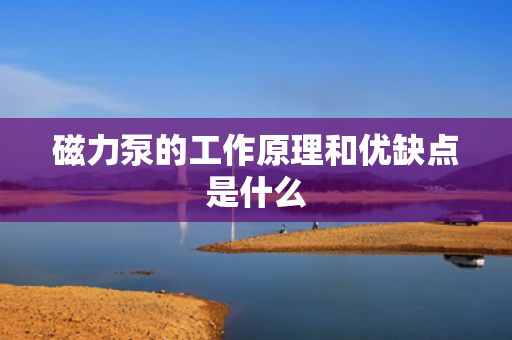 磁力泵的工作原理和优缺点是什么