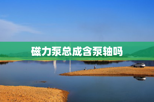 磁力泵总成含泵轴吗