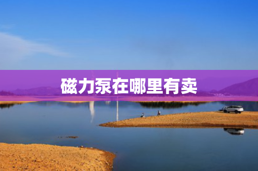 磁力泵在哪里有卖