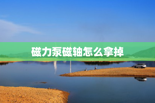 磁力泵磁轴怎么拿掉