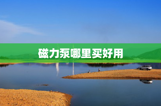 磁力泵哪里买好用