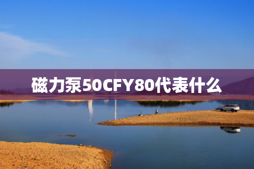磁力泵50CFY80代表什么