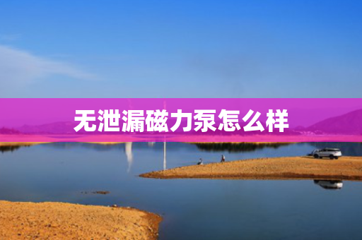 无泄漏磁力泵怎么样