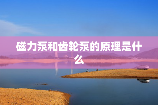 磁力泵和齿轮泵的原理是什么