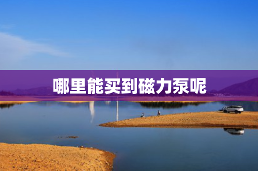 哪里能买到磁力泵呢