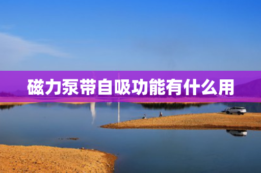 磁力泵带自吸功能有什么用