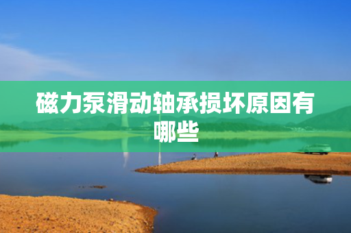 磁力泵滑动轴承损坏原因有哪些