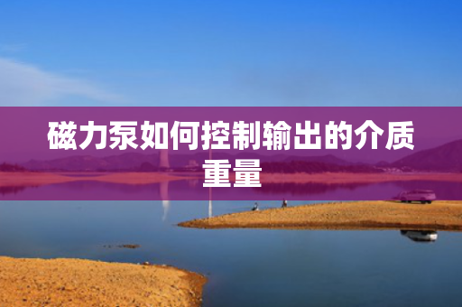 磁力泵如何控制输出的介质重量