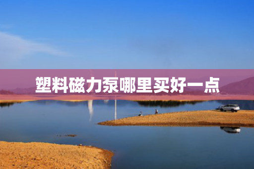 塑料磁力泵哪里买好一点