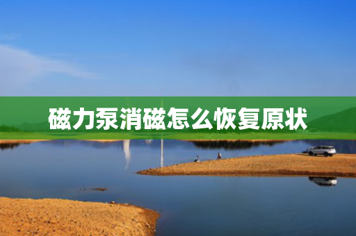 磁力泵消磁怎么恢复原状