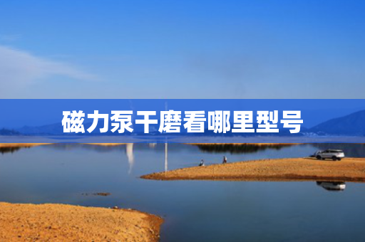 磁力泵干磨看哪里型号