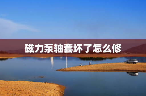 磁力泵轴套坏了怎么修