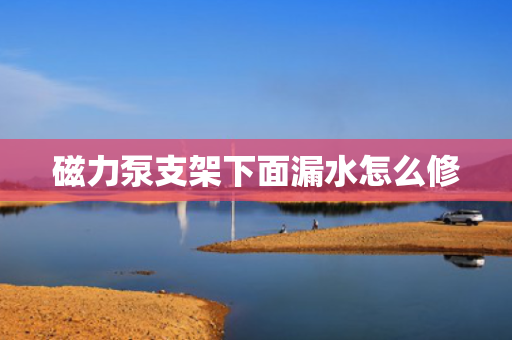 磁力泵支架下面漏水怎么修