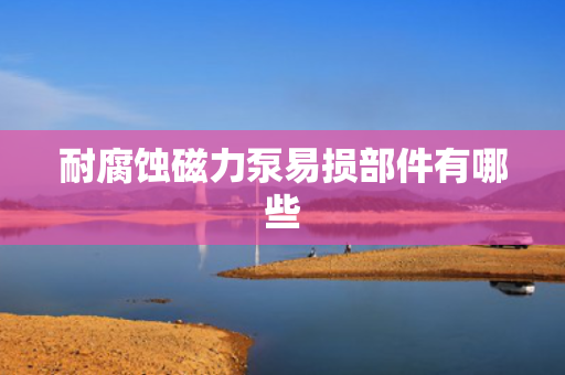 耐腐蚀磁力泵易损部件有哪些