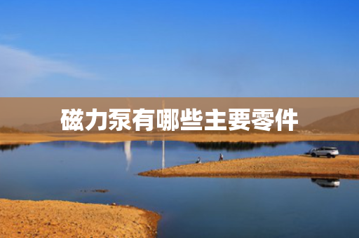 磁力泵有哪些主要零件