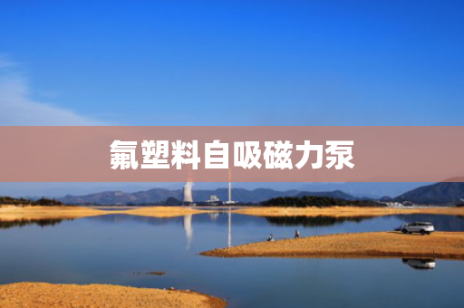 氟塑料自吸磁力泵