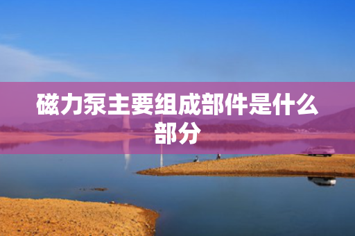 磁力泵主要组成部件是什么部分